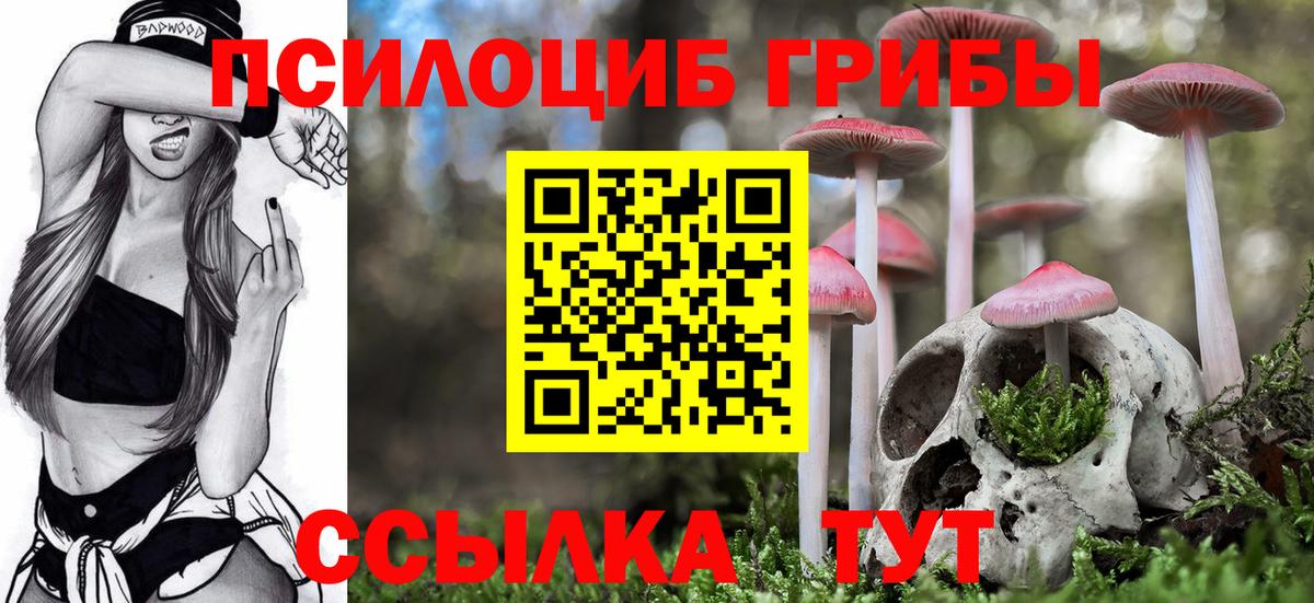 Псилоцибиновые грибы Psilocybine cubensis  что такое наркотик  Углич  Вход с VPN 