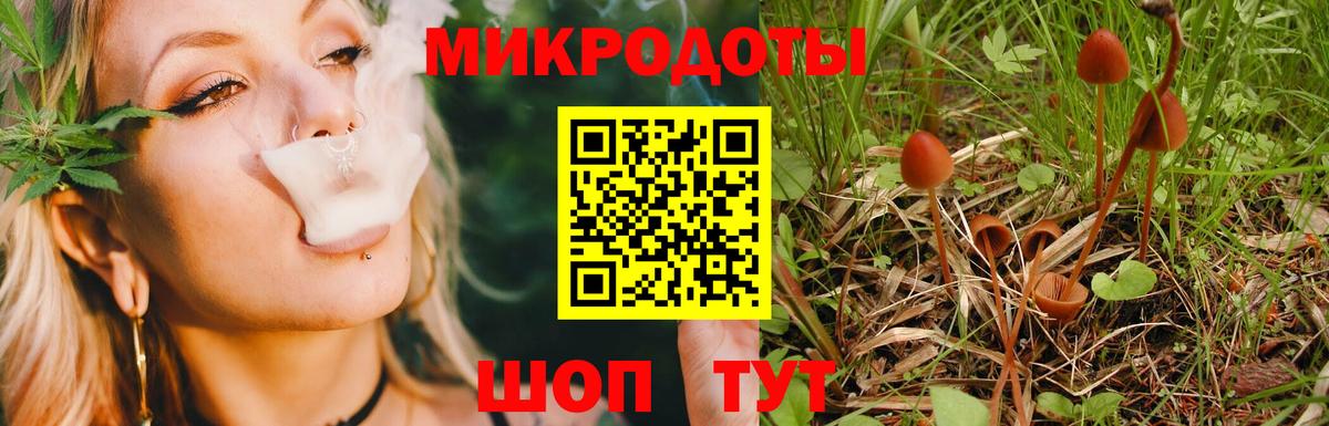 Псилоцибиновые грибы Cubensis Углич